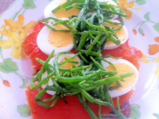 Lachs und Queller