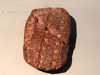 Artefakt aus der Ausstellung "Fleisch" im Alten Museum Berlin